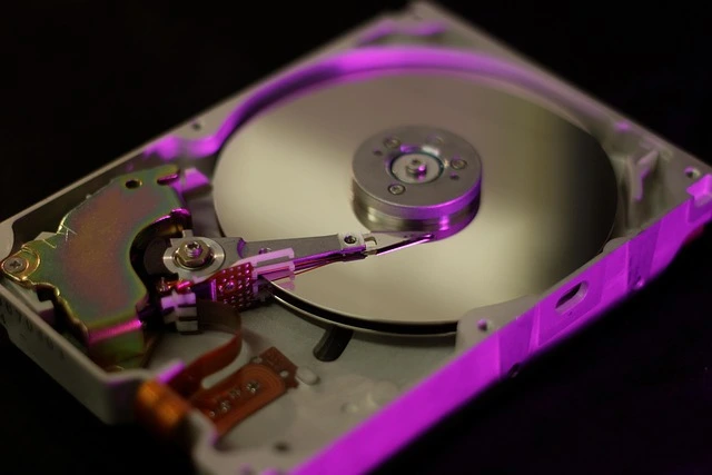 Backup de wordpress